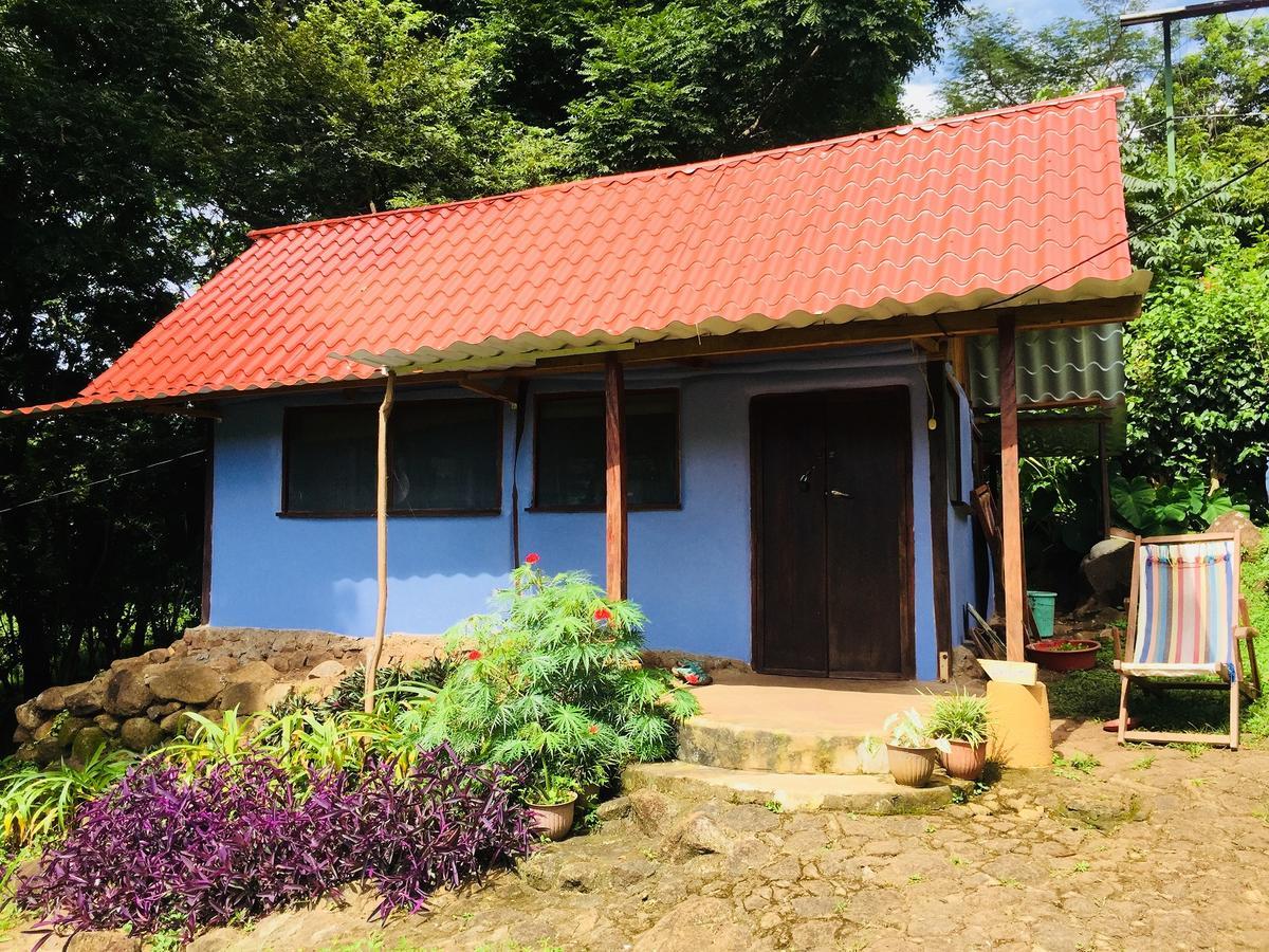 Finca Del Sol Eco Lodge Santa Cruz Екстериор снимка