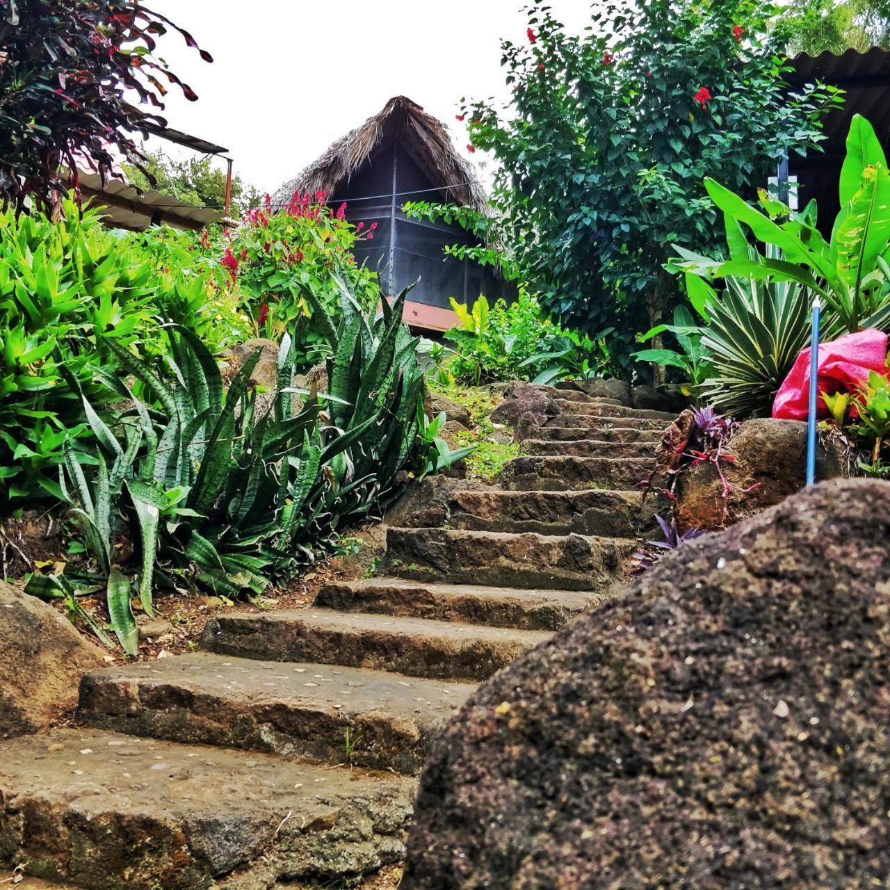 Finca Del Sol Eco Lodge Santa Cruz Екстериор снимка